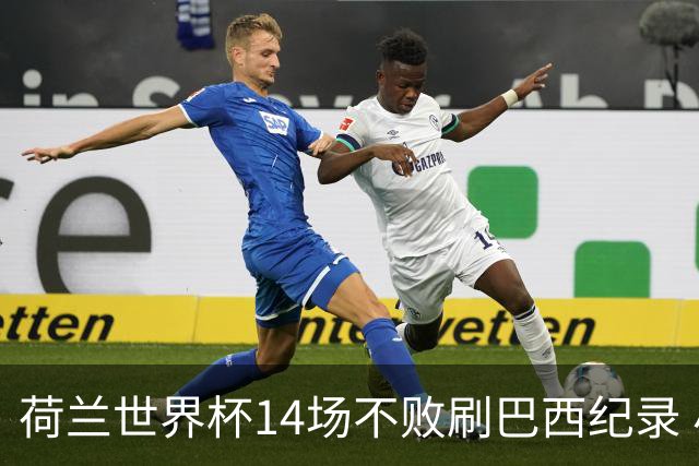 荷兰世界杯14场不败刷巴西纪录 小组赛35战2负从未出局