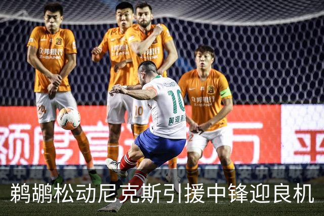 鹈鹕松动尼克斯引援中锋迎良机